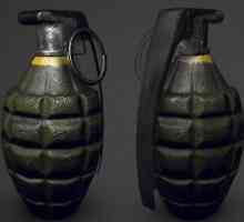 Kako crtati granatu: korak-po-korak upute