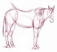 Kako privući konja jednostavnom olovkom