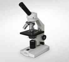 Kako crtati mikroskop u olovku korak po korak