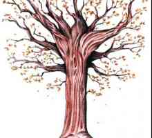Kako crtati jesen stablo u fazama