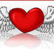 Kako nacrtati srce s krilima: korisne preporuke