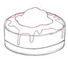 Kako lijepo crtati tortu?