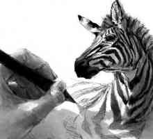 Kako nacrtati zebra klasik i duhovit