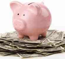 Kako naučiti uštedjeti novac i uštedjeti novac skromnim dohotkom? Praktični savjeti