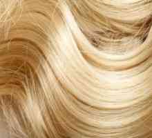 Kako dekolorizirati kosu s vodikovim peroksidom? Početna salon ljepote