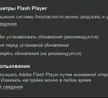 Kako ažurirati Flash Player: nekoliko tipičnih situacija