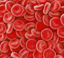 Kako je hemoglobin indiciran u testovima krvi: pokazatelji, transkripti i norma