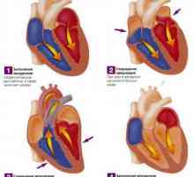 Kako je regulacija srca?