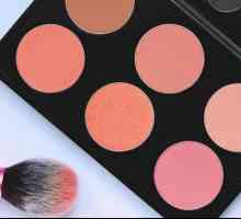 Kako izabrati rumenilo: savjeti makeup umjetnika