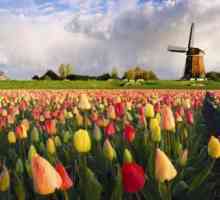 Kako doći i podnijeti zahtjev za vizu u Nizozemsku