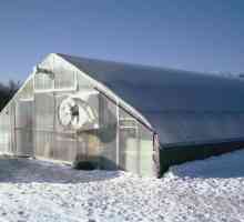 Kako izgraditi staklenik za zimsko uzgoj povrća vlastitim rukama: uređaj, tehnologija, grijanje i…