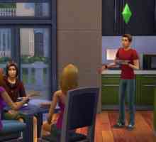 Kako mogu rotirati stavke u Sims 4? Kako rotirati objekte u "The Sims 4"?
