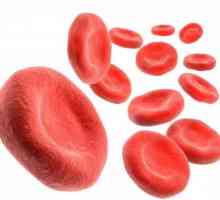 Kako povećati hemoglobin u krvi