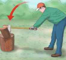 Kako ispravno rezati drvo: oprema i upute