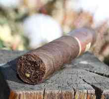 Kako pravilno pušiti cigaru, kako ne biste ušli u neugodnu poziciju