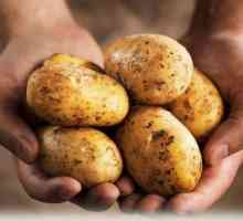 Kako točno izračunati, koliko kilograma krumpira u kantu?