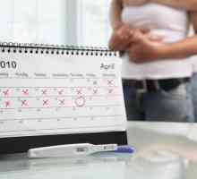 Kako pravilno izračunati trajanje trudnoće?