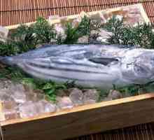 Kako se kuhati tuna fileti: recepti za jela. Tuna odrezak. Kako napraviti svježe smrznutu tunu