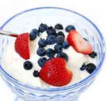 Kako pripremiti jogurt u jogurtskoj kući