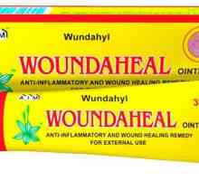 Kako se nanosi "Vundehil" mast za liječenje kožnih bolesti