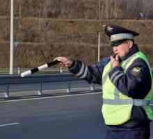 Kako provjeriti kazne prometne policije - sve moguće opcije
