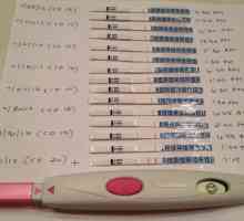Kako funkcionira test ovulacije: pregled, značajke, upute i povratne informacije