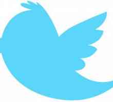 Kako promovirati Twitter račun - prednosti i nedostatke različitih metoda