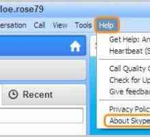 Как разговаривать по `Скайпу`? Как разговаривать втроем в Skype