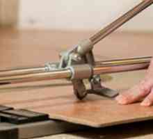 Kako izrezati podne pločice kod kuće: putevi, alati, savjeti