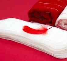 Kako brojati menstrualni ciklus: preporuke i metode