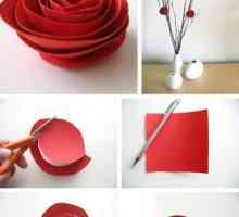 Как сделать бумажные цветы. Как сделать цветок из бумажной ленты