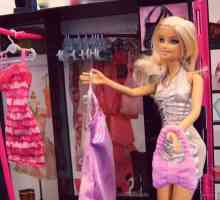 Kako napraviti Barbie kabinet: nekoliko opcija