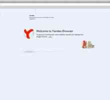 Kako napraviti Yandex preglednik prema zadanim postavkama? Zadane postavke: Yandex preglednik