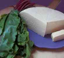 Kako napraviti osetski sir: recept, savjeti i tajne