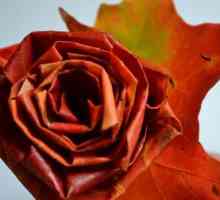 Kako napraviti ruže iz javorovih lišća lijepo?