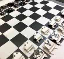 Kako napraviti šah sebe?