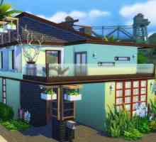 Kako preuzeti kuću u `The Sims 4` i kako ih instalirati?