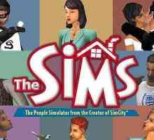 Koliko će uskoro objaviti datum "The Sims 5" u Rusiji