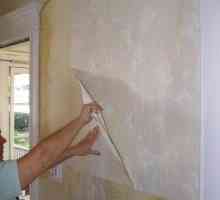 Kako ukloniti vinil tapete sa zidova lako i brzo: učinkovite načine i preporuke