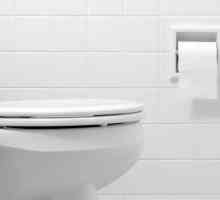 Kako ukloniti poklopac iz WC-a s gumbom: algoritam djelovanja