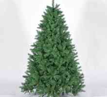 Kako sakupiti umjetno božićno drvce? preporuke