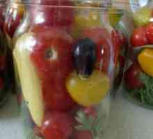 Kako slati rajčice u limenke za zimu kod kuće?