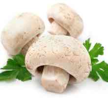 Kako slane gljive u domu: jednostavni recepti za omiljena jela