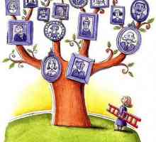 Kako napraviti obiteljsko stablo. Podrobna uputa