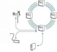 Kako stvoriti LAN vezu: osnovne informacije