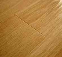 Kako ukloniti ogrebotine na laminatnom podu kod kuće: učinkoviti načini i korisne preporuke
