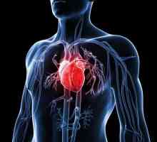 Kako ojačati srce? Kardiološki savjet i tri glavna koraka prema zdravom srcu
