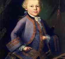 Kako je umro Mozart i gdje je pokopan? Biografija i kreativnost Wolfganga Amadeusa Mozarta