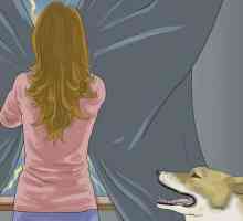 Kako smiriti psa? Savjeti i trikovi