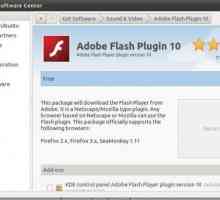 Kako instalirati flash player: detaljan opis
